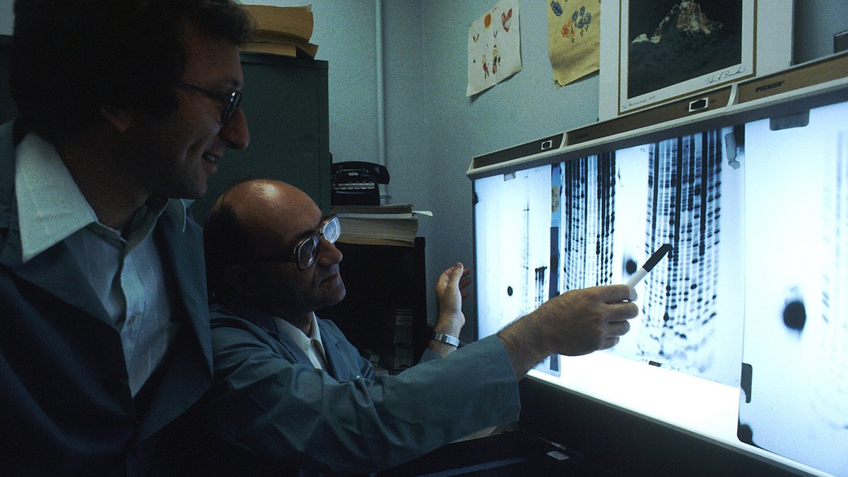 Scientists reading DNA sequencing autoradiographs on a light box — the laboratory craft behind genomics; a HelloGenetix record by Panacea Bio Chem and Bogdan Dicoias